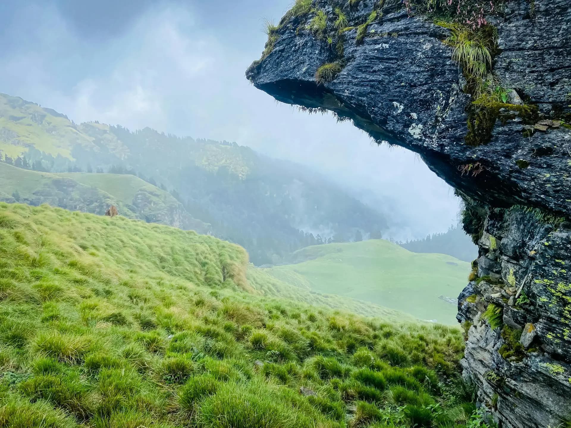 Mountain landscape background
